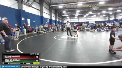 48-51 lbs Round 4 - Cole Jr. Brown, 208 Badgers vs Elijah Sanchez, Kuna Klub