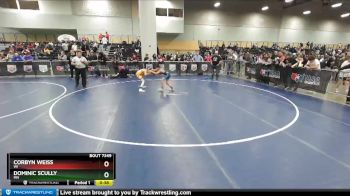 86 lbs Quarterfinal - Corbyn Weiss, WI vs Dominic Scully, MN