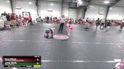 100 lbs Round 3 - Ella Wells, The Storm Wrestling Center vs Jamie Hearl, Mount Airy WC