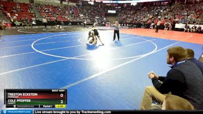 D3-160 lbs Quarterfinal - Cole Pfeiffer, Cadott vs Treston Eckstein, Markesan