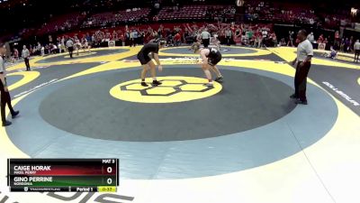 D1-175 lbs Cons. Round 3 - Gino Perrine, Nordonia vs Caige Horak, Mass. Perry