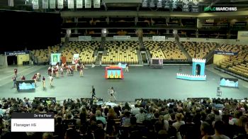 Flanagan HS at 2019 WGI Guard Southeast Power Regional