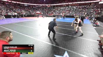 D2-106 lbs Semifinal - Logan Mueller, Brillion vs Brady Gesler, Chetek-Wey./Pr. Farm