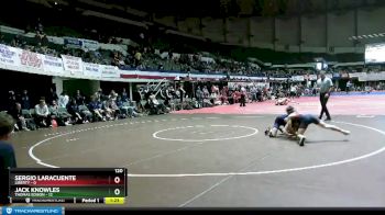120 lbs Quarterfinals (8 Team) - Sergio Laracuente, Liberty vs Jack Knowles, Thomas Edison