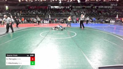 65 lbs Quarterfinal - Gavin Petraglia, Svrwc vs Tyler Ribchinsky, Delsea