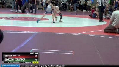 80 lbs Semifinal - David Walker Reiber, North Alabama Elite Wrestling vs Dane McEntyre, Stronghold