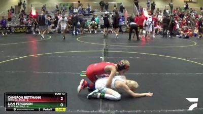 56 lbs Finals (8 Team) - Liam Ferguson, Mi Pitbulls Gold vs Cameron Rettmann, Metro All Stars