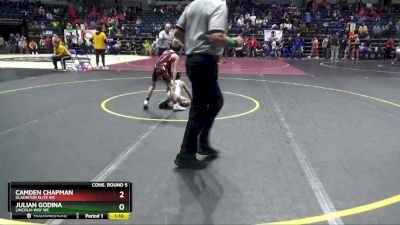 60 lbs Cons. Round 5 - Julian Godina, Lincoln-Way WC vs Camden Chapman, Gladiator Elite WC