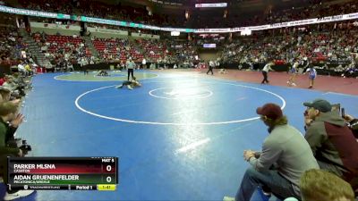 D3-106 lbs Quarterfinal - Aidan Gruenenfelder, Pecatonica/Argyle vs Parker Mlsna, Cashton