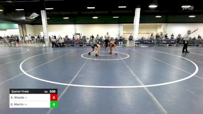 100 lbs Quarterfinal - Analu Woode, HI vs Graydon Martin, VA