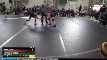 80 lbs Round 2 (8 Team) - Lane Gowl, Warhawks Black vs Anthony Diabes, Scorpions