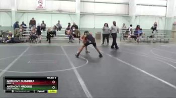 100 lbs Round 6 (8 Team) - Anthony Mrosko, Ohio Rampage vs Anthony Diandrea, Edge