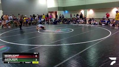 113 lbs Round 4 (6 Team) - Austin Wood, Diamond Fish Pink vs Hayden Schmit, Nebraska Broskis