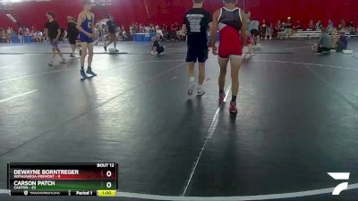 132-132 lbs Round 1 - DeWayne Borntreger, Weyauwega-Fremont vs Carson Patch, Canton