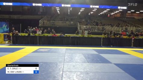 EDWARD T. CRUZ vs MACK RAY LINAN 2024 Pan Jiu Jitsu IBJJF Championship