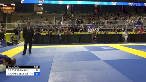 EVAN ROSS BRIGMAN vs ADAM AHMED BEL FELLAH 2024 Pan Jiu Jitsu IBJJF Championship