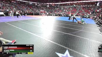 D2-120 lbs 3rd Place Match - Ethan Immel, Kewaskum vs Lane Anderson, Amery