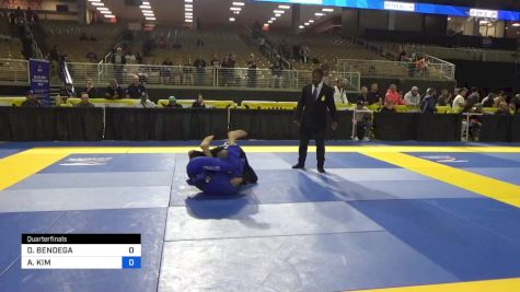 DENYS BENDEGA vs ANDREW KIM 2024 Pan Jiu Jitsu IBJJF Championship