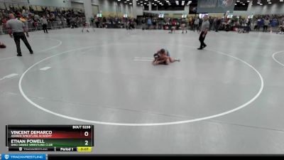 100 lbs Cons. Round 5 - Ethan Powell, Ohio Dawgz Wrestling Club vs Vincent DeMarco, Askren Wrestling Academy