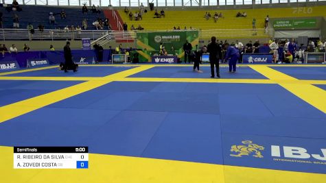 KLEBER LUIZ DA SILVA vs LUIZ ALEXANDRE R. DE LIMA 2024 Brasileiro Jiu-Jitsu IBJJF