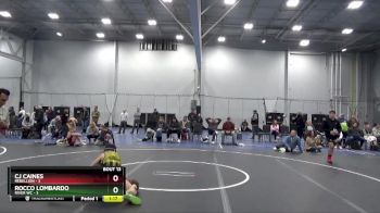 84 lbs Round 5 (6 Team) - CJ Caines, Rebellion vs Rocco Lombardo, River WC