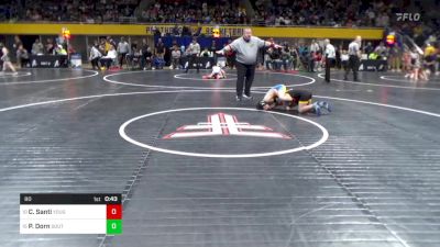 80 lbs Quarterfinal - Coleson Santi, Yough vs Preston Dorn, South Park