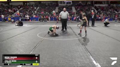 76 lbs Champ. Round 1 - Collin Ross, St. Francis vs Besik Singer, Lawrence Elite