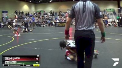 82 lbs Round 2 (6 Team) - Trevari Mason, SWAT Gold vs Cam Carter, Region Wrestling Academy