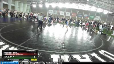 67 lbs Quarterfinal - Ari Sobaje, California vs Treycen O`Dell, Sanderson Wrestling Academy