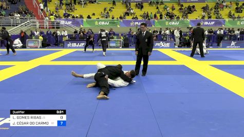 LEANDRO GOMES RIBAS vs JÚLIO CÉSAR DO CARMO PAIXÃO 2024 Brasileiro Jiu-Jitsu IBJJF