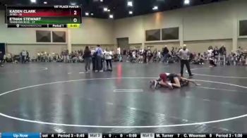 95 lbs Finals (2 Team) - Ethan Stewart, Tennessee Blue vs Kaden Clark, AYWO