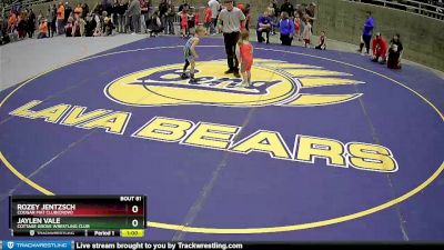 49 lbs Cons. Round 3 - Rozey Jentzsch, Cougar Mat Club(Crow) vs Jaylen Vale, Cottage Grove Wrestling Club