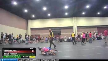 49 lbs Round 1 (6 Team) - Blaze Murray, Carolina Hammer Squad vs Theo Santiago, Midwest Xtreme Wrestling