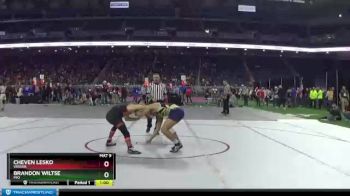 D4-135 lbs Cons. Round 2 - Cheven Lesko, Vassar vs Brandon Wiltse, Mio