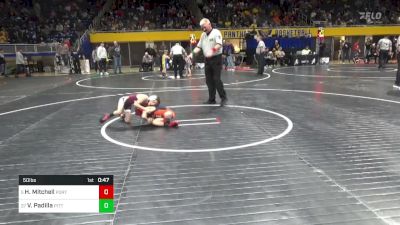 50 lbs Round Of 32 - Hoyt Mitchell, Port Allegany vs Vincent Padilla, Pittson