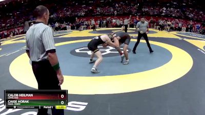 D1-175 lbs Champ. Round 1 - Caige Horak, Mass. Perry vs Calob Heilman, Loveland