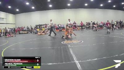 96 lbs Round 5 - Grayson Sloan, PALMETTO STATE WRESTLING ACADEMY vs Micheal Pearson, Carolina Reapers