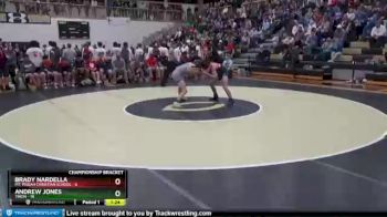 132 lbs Semis & 1st Wb (8 Team) - Brady Nardella, Mt. Pisgah Christian School vs Andrew Jones, Trion
