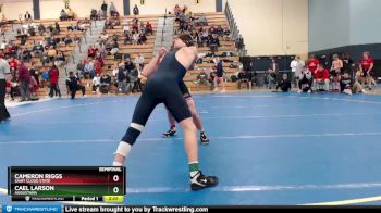 149 lbs Semifinal - Cameron Riggs, Saint Cloud State vs Cael Larson, Augustana