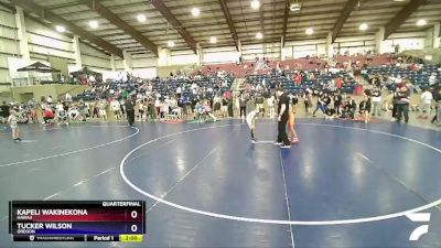 65 lbs Quarterfinal - Kapeli Wakinekona, Hawaii vs Tucker Wilson, Oregon