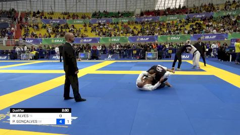 MARCELO ALVES vs PERCIO GONÇALVES 2024 Brasileiro Jiu-Jitsu IBJJF