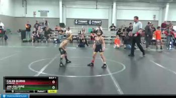 48 lbs Semis (4 Team) - Caleb Burns, Scanlan vs Jax Gillispie, Bull Island