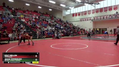 113 lbs Semifinal - Simon Dominguez, Detroit Catholic Central vs Kolt Mellon, Wadsworth