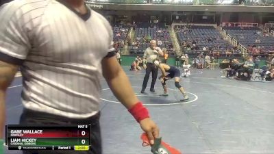 4A 126 lbs Champ. Round 1 - Liam Hickey, Cardinal Gibbons vs Gabe Wallace, Grimsley