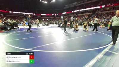 175 lbs Quarterfinal - Primo Catalano, Chaminade vs Angelo Posada, Poway