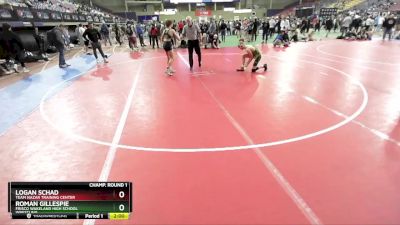 120 lbs Champ. Round 1 - Logan Schad, Team Nazar Training Center vs Roman Gillespie, Frisco Wakeland High School Wrestling