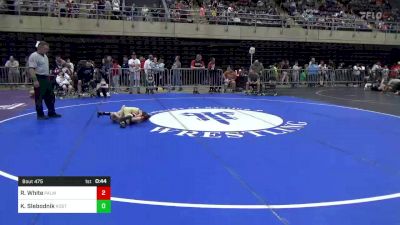 40 lbs Quarterfinal - Russell White, Palmyra, NY vs Kaden Slebodnik, Rostraver Township, PA