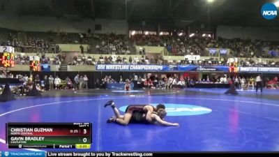 125 lbs Quarterfinal - Gavin Bradley, Castleton vs Christian Guzman, North Central