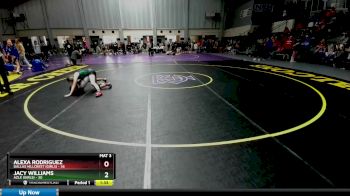 100 lbs Quarters & 1st Wb (16 Team) - Alexa Rodriguez, Dallas Hillcrest (Girls) vs Jacy Williams, Azle (Girls)