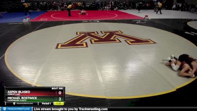 113 lbs Cons. Round 2 - Michael Bostwick, Luxemburg-Casco vs Aspen Blasko, Forest Lake